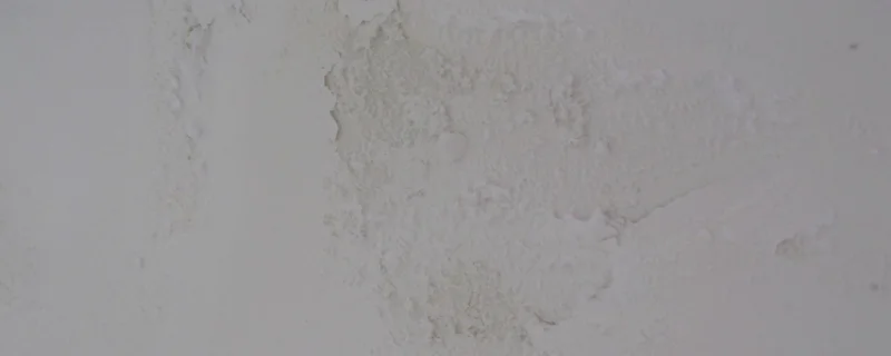 卧室墙面渗水发霉怎么处理