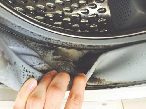怎么去除洗衣机里的污垢