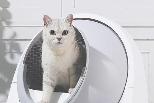 智能猫砂盆有什么用 智能猫砂盆怎
