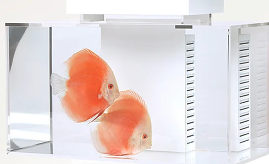 智能鱼缸是什么 智能鱼缸哪个牌子