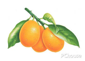 食用金橘的注意事项_百科_生活