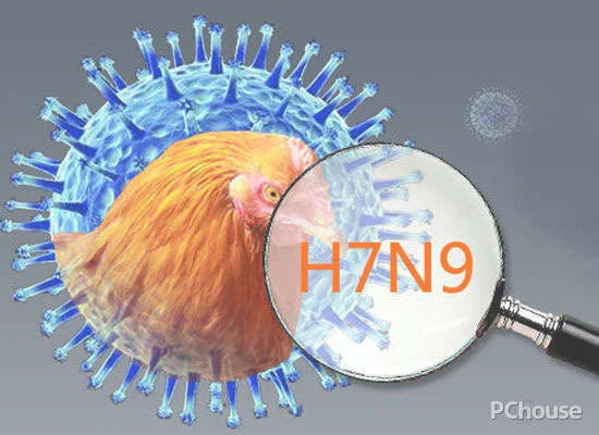 H7N9的介绍_百科_装修
