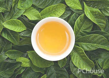 中国名茶的种类有哪些_百科_装修