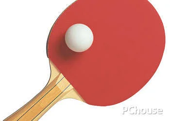 乒乓球拍的价格_百科_生活