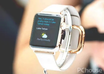 Apple Watch Edition怎么样_百科_产品