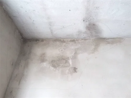 房屋内墙渗水如何处理
