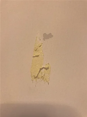 乳胶漆墙面有胶带粘过的痕迹怎么清