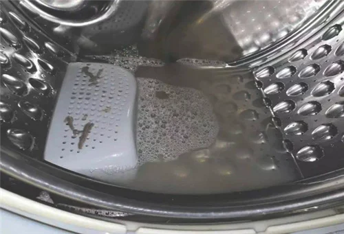 洗衣机自清洗什么意思