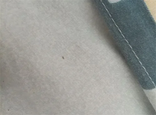 床垫子上有小虫子怎么去除