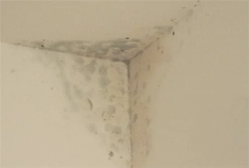 卫生间门口墙皮脱落返潮处理方法是什么