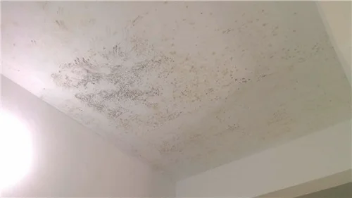 卧室天花板漏水但楼上没有水是怎么