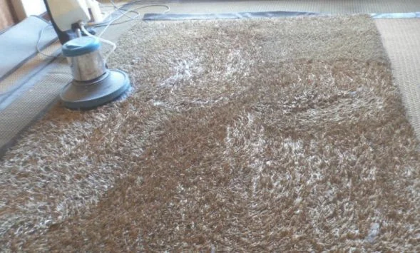 地毯怎么清理才能干净