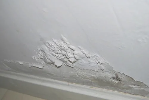 卫生间墙体漏水渗水如何处理
