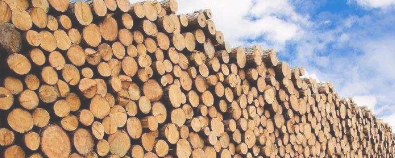 木头与木头用什么胶粘