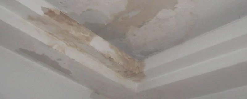 楼顶漏水怎么补漏