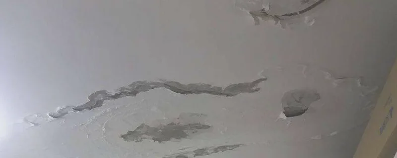 楼顶漏水用什么防水胶