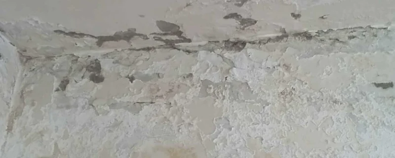 棚顶漏水了怎么修复