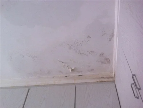 室内屋顶漏水在室内能处理吗