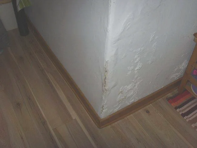 房屋墙面漏水怎么处理