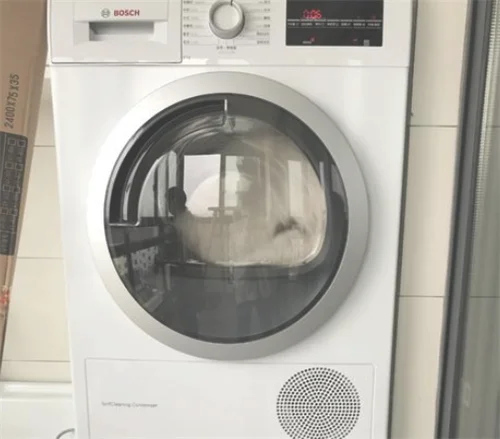 洗衣机转不动的原因是什么