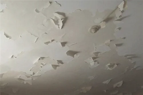 天花板掉墙皮怎么快速处理