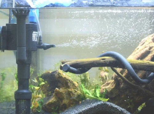鱼缸水泵怎么选择流量