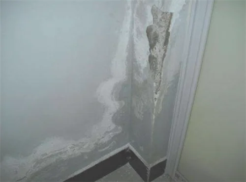 墙体漏水用什么修补
