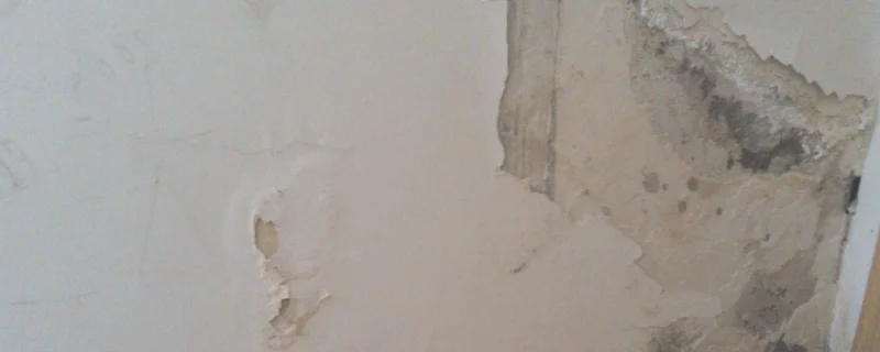 靠卫生间的墙潮掉墙皮怎么办