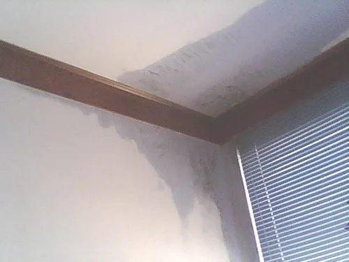 天花板鼓包是因为楼上渗水吗