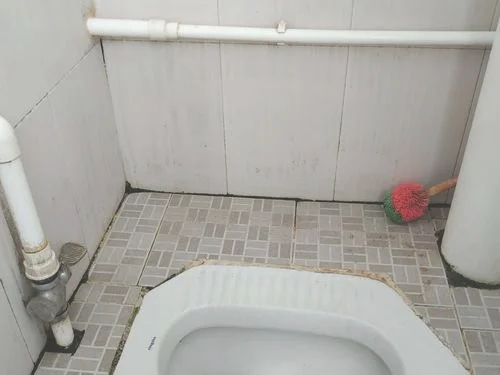 厕所很脏很黄用什么洗