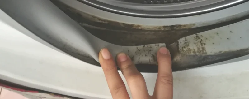 小苏打怎么清洗洗衣机