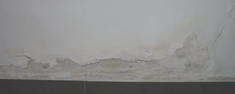 墙体返碱是因为漏水吗