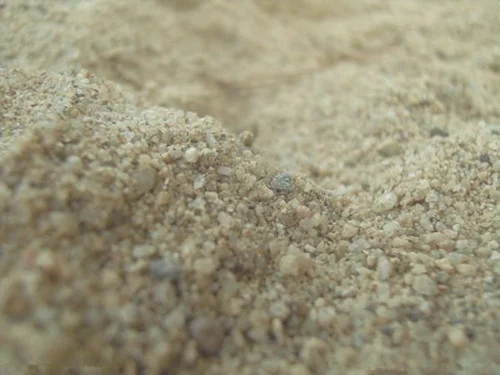 粉墙100平方要多少沙