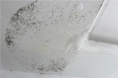 天花板漏水修补有什么方法