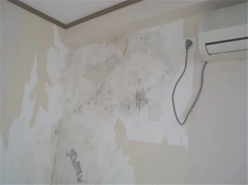 房间墙壁发霉有什么危害