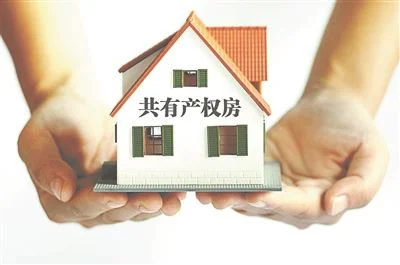 天津有共有产权房子吗